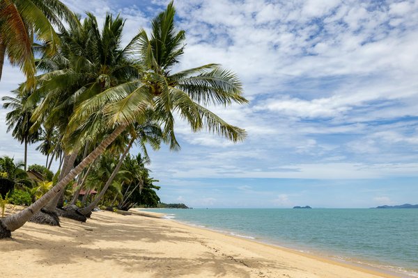 Voyagez avec Éléganza : Les Meilleures Compagnies Aériennes pour un Confort Inégalé