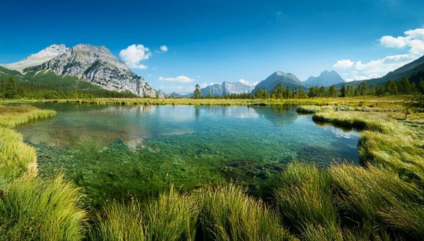 Exploration des Sites Incontournables pour Dénicher des Croisières Abordables